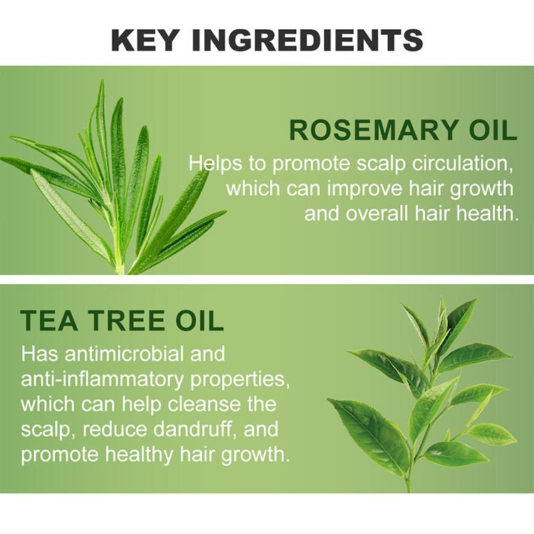 Rosemary Shampoo Conditioner Set 5